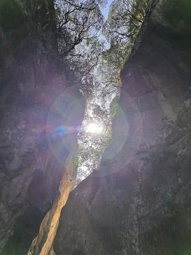 Sunlight filtering through a narrow canyon with lush greenery and vibrant colors Stock Photos