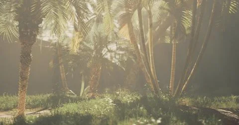 Sunlight filtering through palm trees in a serene tropical paradise setting Illustrazione stock