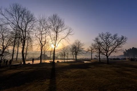 Sunlight Filtering Through Silhouetted Trees At Mountain Campground During .. Stockfoto's
