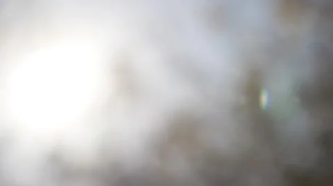 Sunlight filtering through tree branches Stock Footage 2732622