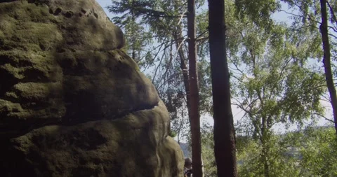 Sunlight Filtering Through Trees And Sandstone Rocks In Bohemian Paradise Stock Footage 345039238