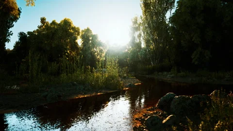 Sunlight filtering through trees beside a tranquil river at dawn 스톡 동영상 311919081