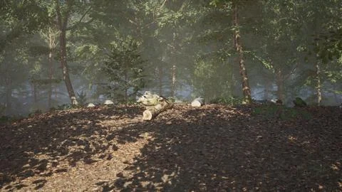Sunlight filtering through trees highlights a forest clearing with a fallen l Stock Illustration
