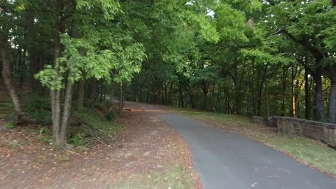 Sunlight Filtering Through Trees on Park Path – Drone POV, Little Rock Stock Footage 202223690