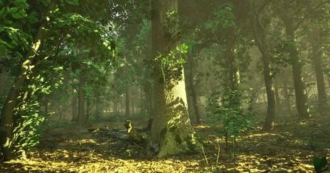 Sunlight filtering through trees in a peaceful forest setting Stock Illustration