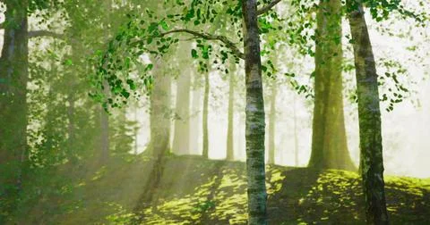 Sunlight filtering through trees in a peaceful forest setting Stock Illustration