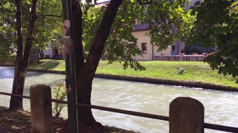 Sunlight filtering through trees by sile river in treviso Stock Footage 296780115