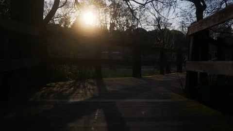 Sunlight filtering through the trees at sunset Stockfoto's