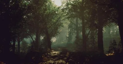 Sunlight filtering through trees in a tranquil forest path at dusk Illustrazione stock