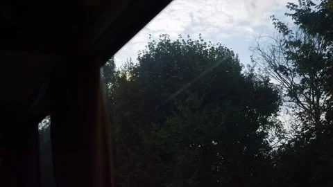 Sunlight filtering through trees from a window view in 4k slow motion 120fps Stock Footage 267690544