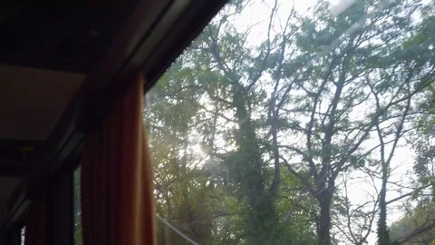 Sunlight filtering through trees from a window view in 4k slow motion 120fps Stock Footage 267691070