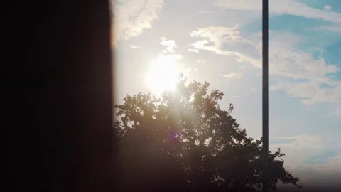 Sunlight filtering through trees from a window view in 4k slow motion 120fps Stock Footage 267691601