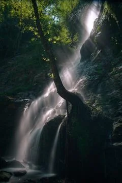 Sunlight filtering through the treetops illuminates a waterfall Stock-Fotos