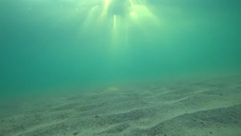 Sunlight filtering through turquoise water illuminates sandy seabed Video stock 306739854