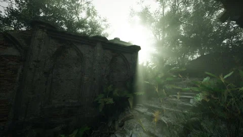 Sunlight filters through ancient ruins in a captivating forest scene Stock Footage 341832992