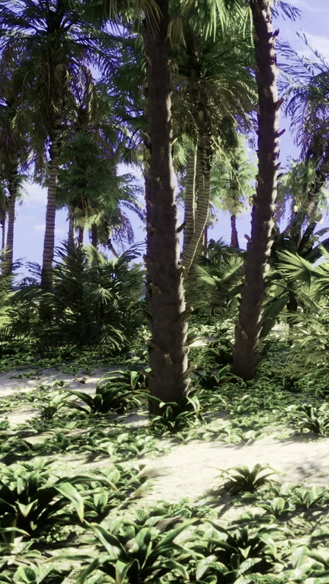 Sunlight filters through a dense canopy of palm trees in this tropical paradise Vídeo Stock 334243150