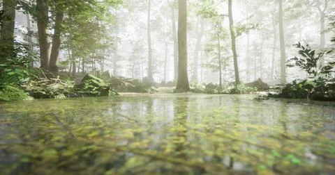 Sunlight filters through a dense forest, creating a serene atmosphere Illustrazione stock