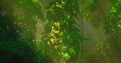Sunlight filters through dense greenery in a vibrant tropical rainforest Stock Illustration