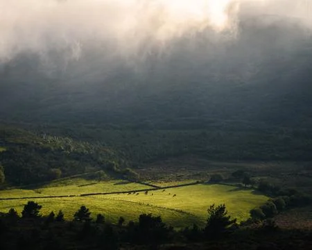 Sunlight filters through a gap in dense fog and briefly illuminates a meadow Stock Photos