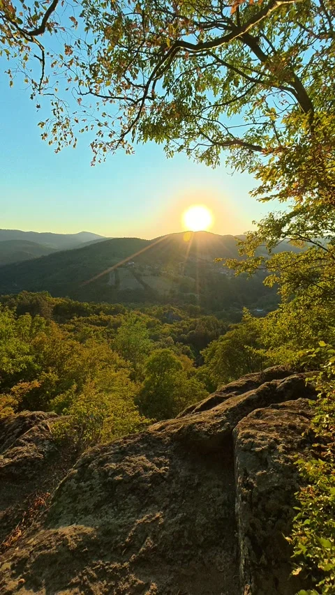 Sunlight filters through green leaves. Boracki krs Serbia Vertical 動画素材 345006200