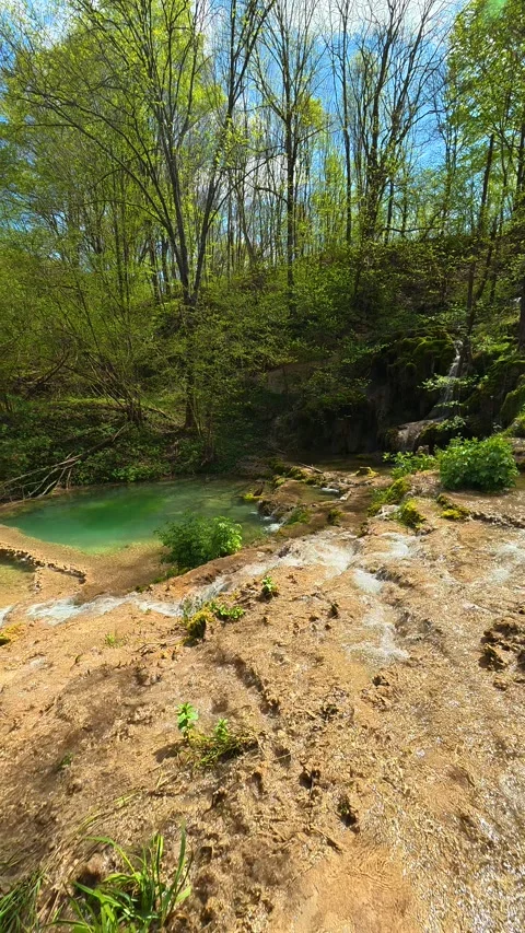 Sunlight filters through green trees above. Vertical POV, Balkan, Eastern Europe 库存影片 333700639