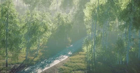 Sunlight filters through green trees along a tranquil forest pathway Stock Illustration