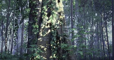 Sunlight filters through greenery highlighting an ancient tree in a forest 스톡 일러스트