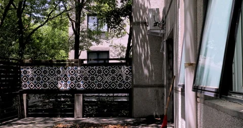 Sunlight filters through the leaves, creating dappled shadows on the leaf l.. 库存影片 334669008