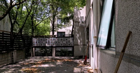 Sunlight filters through the leaves, creating dappled shadows on the leaf l.. 库存影片 334670097