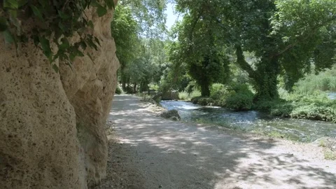 Sunlight filters through lush canopy of trees as winding river flows peacefully. Видео 259075486