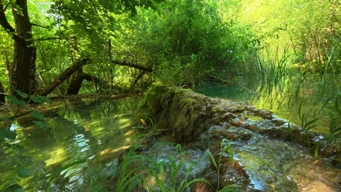 Sunlight filters through lush green canopy above. Bigar Waterfall, Serbia 動画素材 346250209