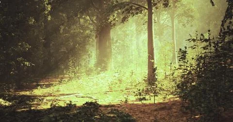 Sunlight filters through lush trees in a tranquil forest pathway Stock Illustration