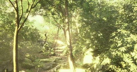 Sunlight filters through lush trees in a tranquil forest pathway Stock Illustration
