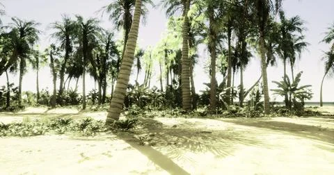 Sunlight filters through palm trees on a tropical beach with lush vegetation Stock Illustration