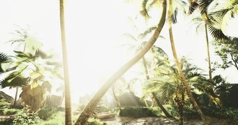 Sunlight filters through palm trees in a tropical paradise during midday Stock-Illustration