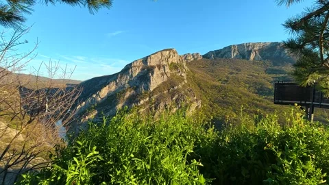 Sunlight filters through pine branches. Sicevo Gorge, Serbia Видео 332613813