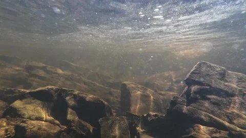 Sunlight filters through shallow freshwater, illuminating a rocky riverbed . Video stock 344072960