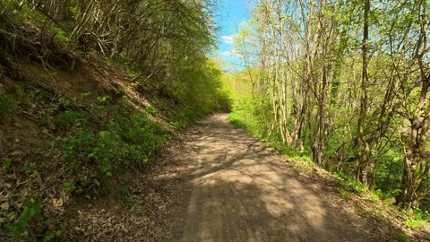 Sunlight filters through spring trees. Balkan, Eastern Europe, POV 스톡 동영상 333589715