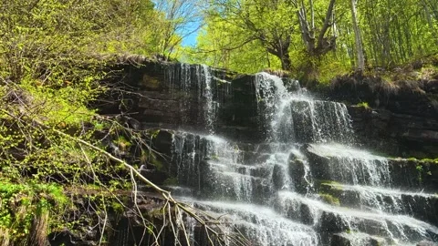 Sunlight filters through spring trees. Tupavica Waterfall, Serbia Vídeos de archivo 335533423
