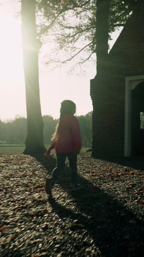 Sunlight filters through tall trees in a peaceful park in Maastricht Stock Footage 333404308