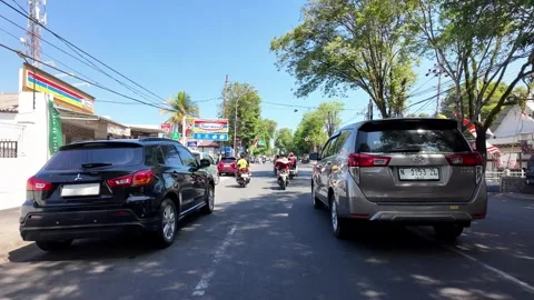 Sunlight filters through tall trees lining a quiet street Stock Footage 345153572