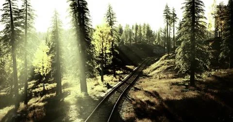 Sunlight filters through tall trees over a winding railway track in autumn Ilustração Stock