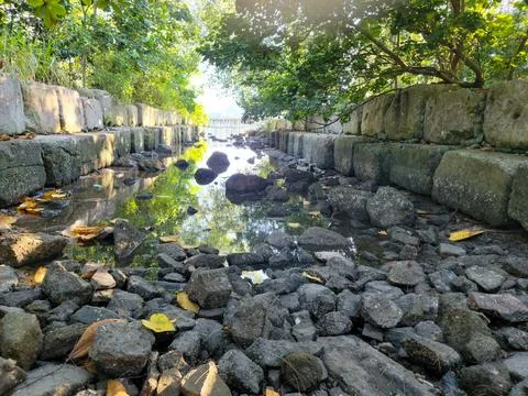Sunlight filters through trees above stone-lined water channel Stock Photos