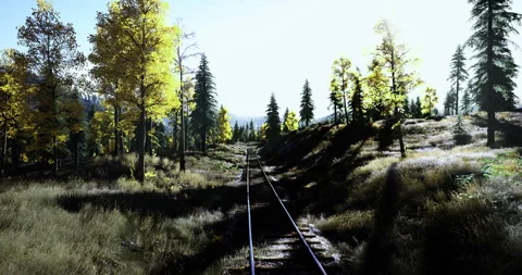 Sunlight filters through trees along a peaceful railway track in nature Vídeos de archivo 310774405