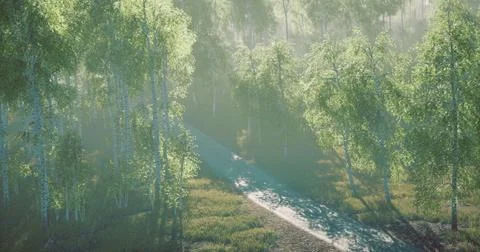 Sunlight filters through trees along a serene forest pathway at dawn Stock Illustration