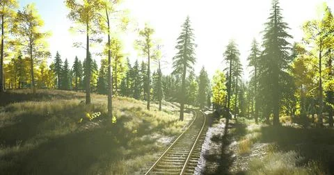 Sunlight filters through trees along a winding train track in autumn landscap Stock Illustration