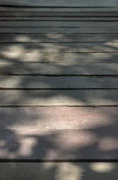 The sunlight filters through the trees, casting soft, dancing shadows across 写真素材