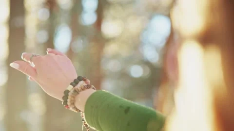 Sunlight filters through trees as hand opens toward light Stock-Footage 342782719