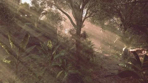 Sunlight filters through the trees in a lush forest during midday Stock Illustration