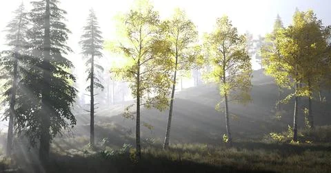 Sunlight filters through trees in a misty forest during early morning Stock Illustration
